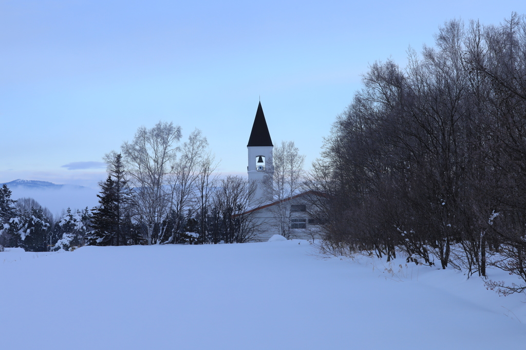 写真撮るのが楽しくてたまりません。