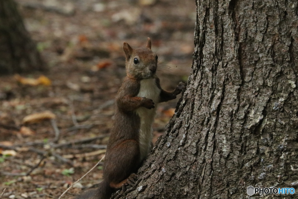 20160920230006_IMG_7338