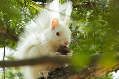 久しぶり白ちゃん