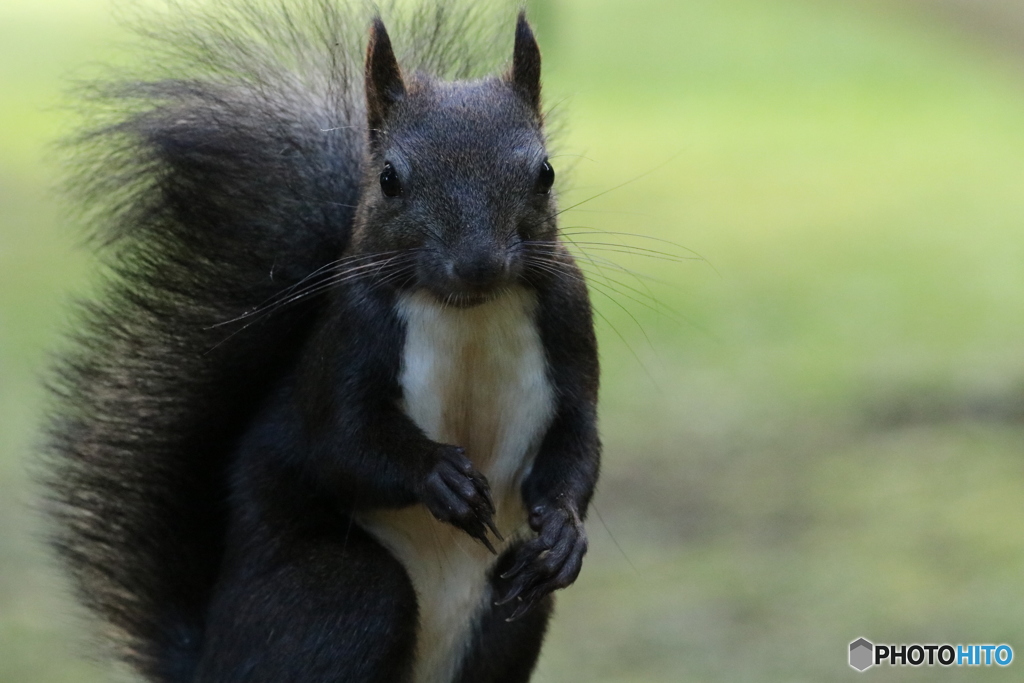 20160917235128_IMG_7165