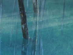 青い池