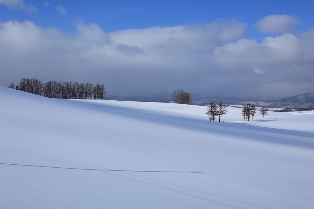 白と青マイルドセブン
