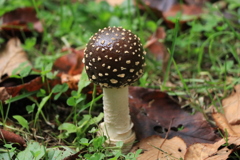 20160928222410_IMG_8154