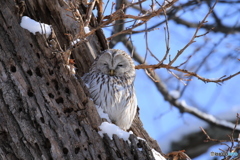 でも必ず薄目開けて見てる❗(笑)