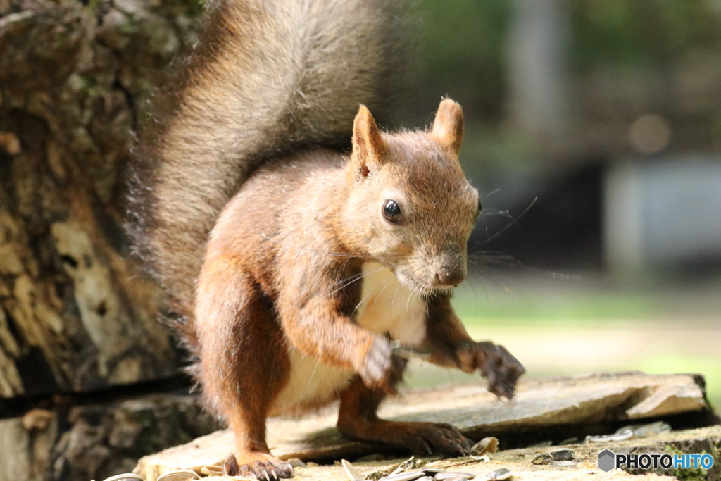 相撲かよ❗(笑)