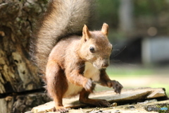 相撲かよ❗(笑)