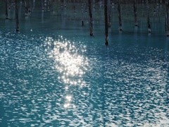 青い池