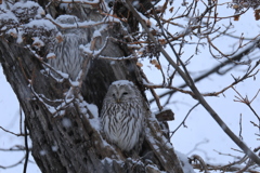 今日もほっこり。