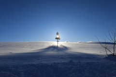 いい感じだったので