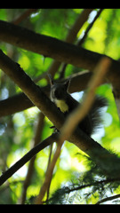 ニューフェイス君達！