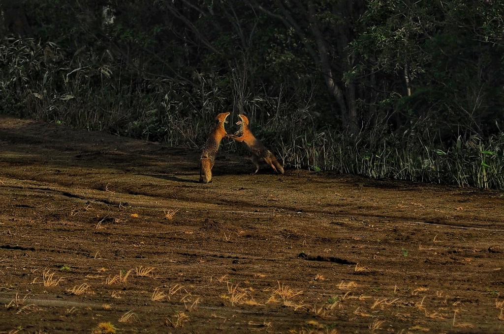 早朝から揉め事！