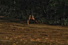 早朝から揉め事！