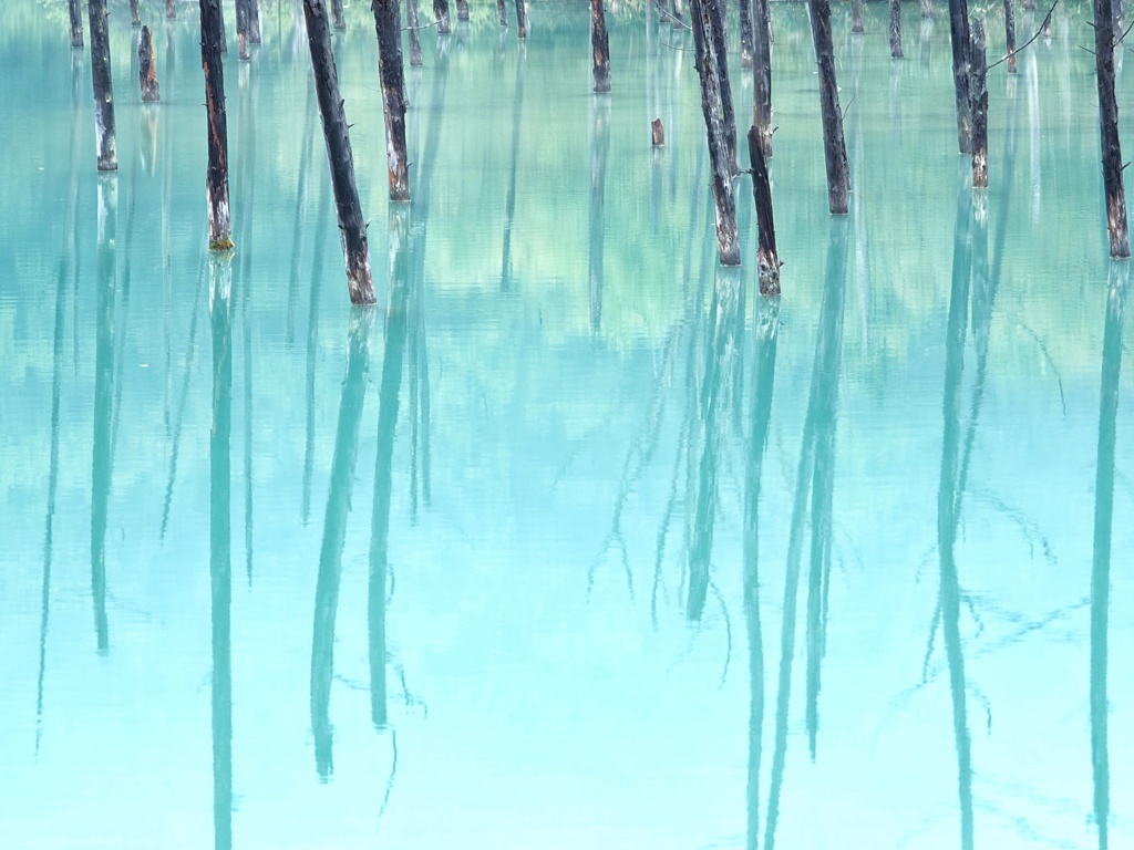 青い池