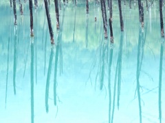青い池