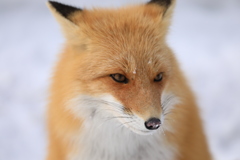車には 気をつけろよ！また行くからな～
