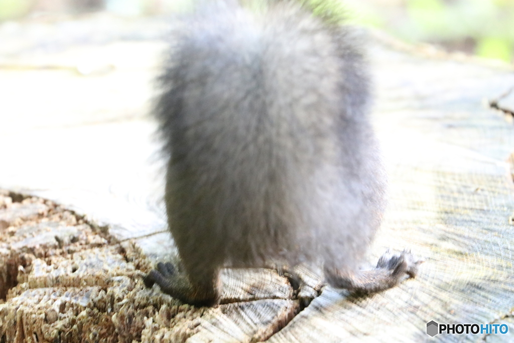 すきだらけですよ❗