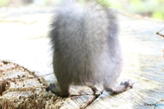 すきだらけですよ❗