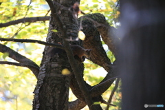 ビックリしたな～もう！