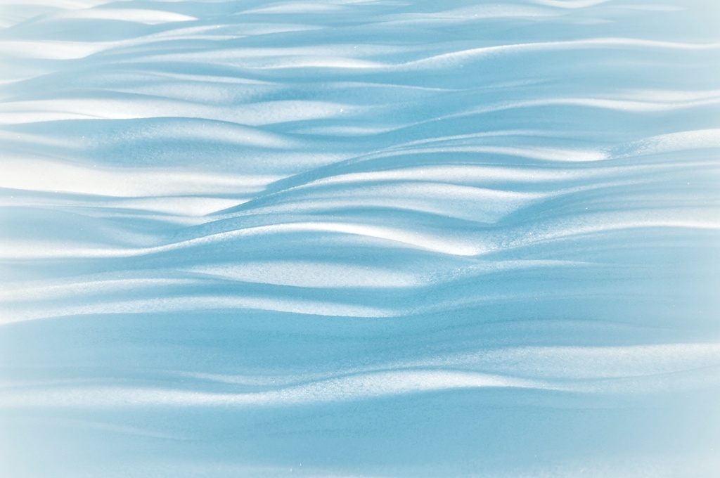 ブルーを探しに