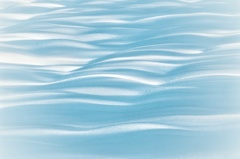 ブルーを探しに