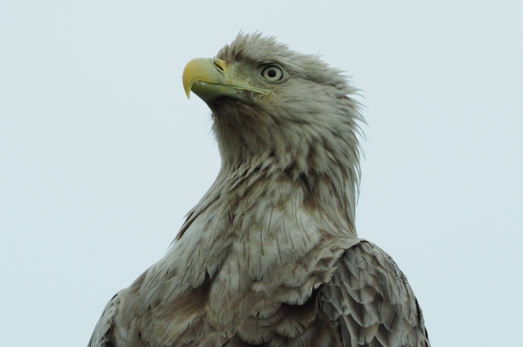 男前か女前かわからないけどカッコいい！