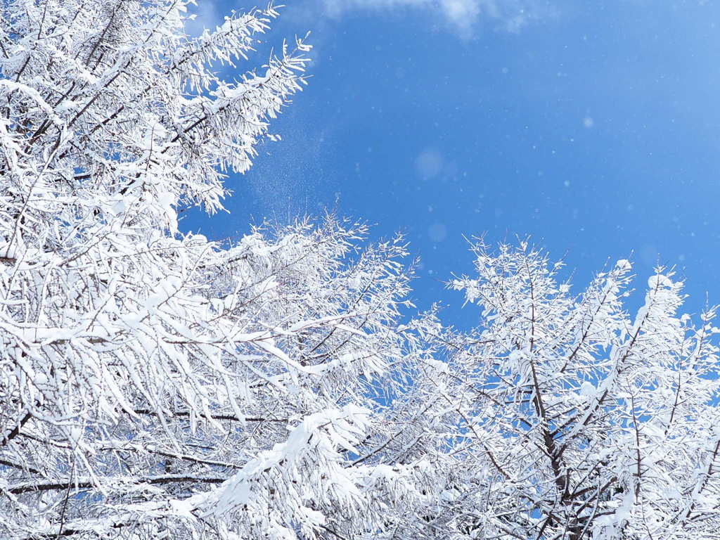 ホワイト&ブルー