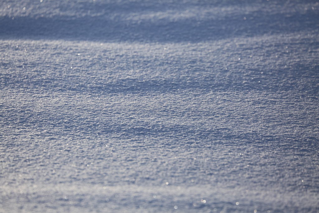 美瑛の雪は 最高！