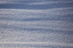 美瑛の雪は 最高！