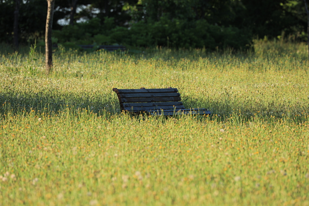 今は 使われないベンチ