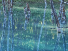 青い池