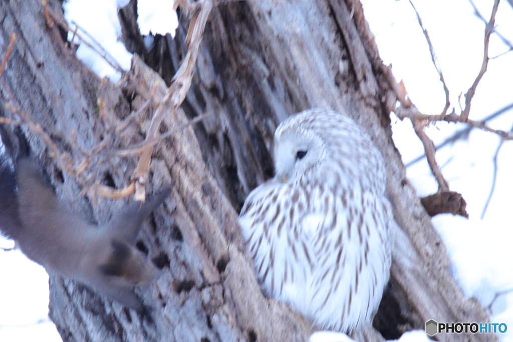 またお前か❗(笑)