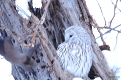 またお前か❗(笑)