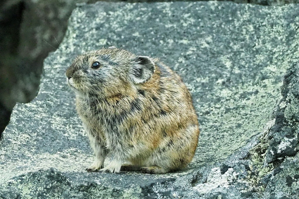 ナッキ～