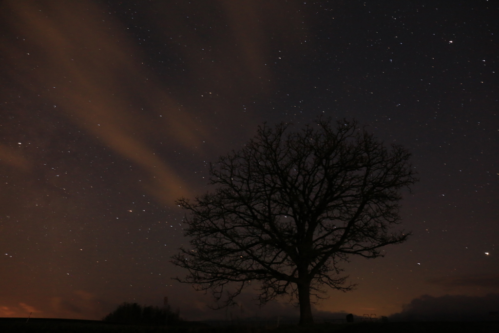 20170426025755_3L4A7690_1