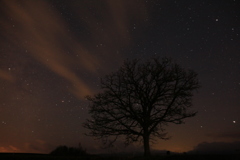 20170426025755_3L4A7690_1