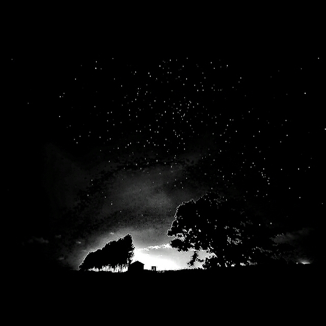 モノクロにしてみました。