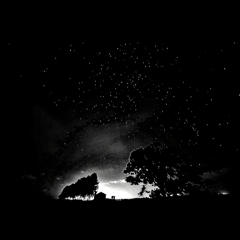 モノクロにしてみました。