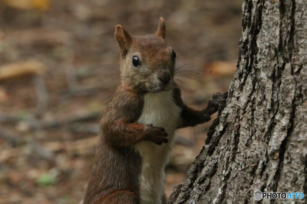 20160920230023_IMG_7339