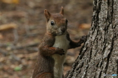 20160920230023_IMG_7339