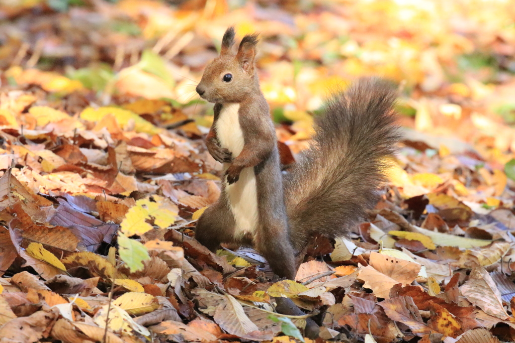 冬支度冬支度！