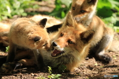 子育て奮闘中！