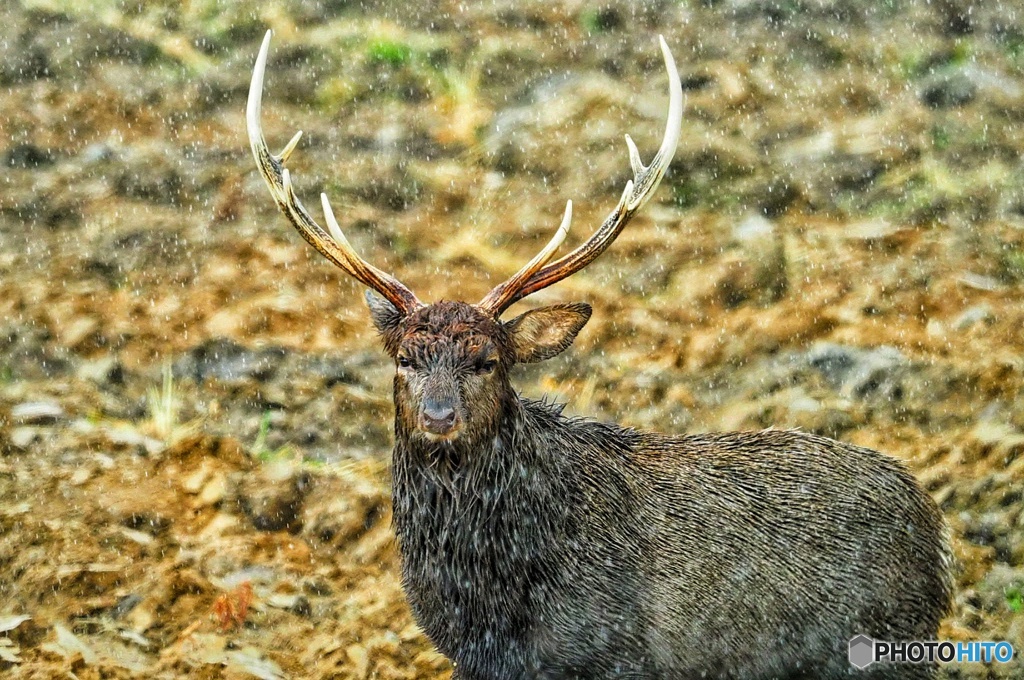 呼び止め撮らせてもらいました。