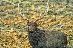 呼び止め撮らせてもらいました。