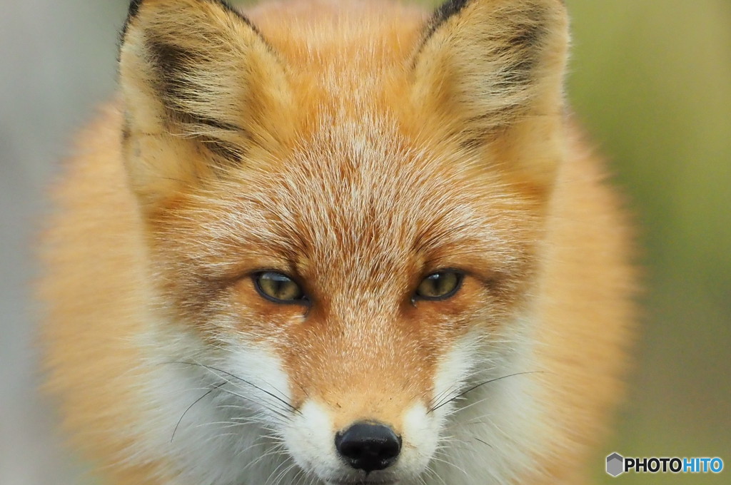 のどかな山奥で