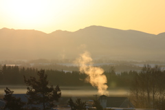 朝靄の中の温もり
