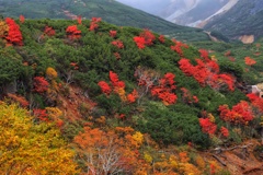 十勝岳