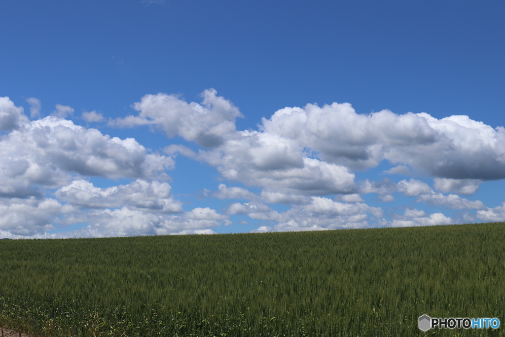 20160720114307_IMG_1976