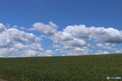 20160720114307_IMG_1976