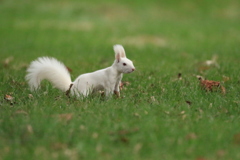 目が赤いですね。