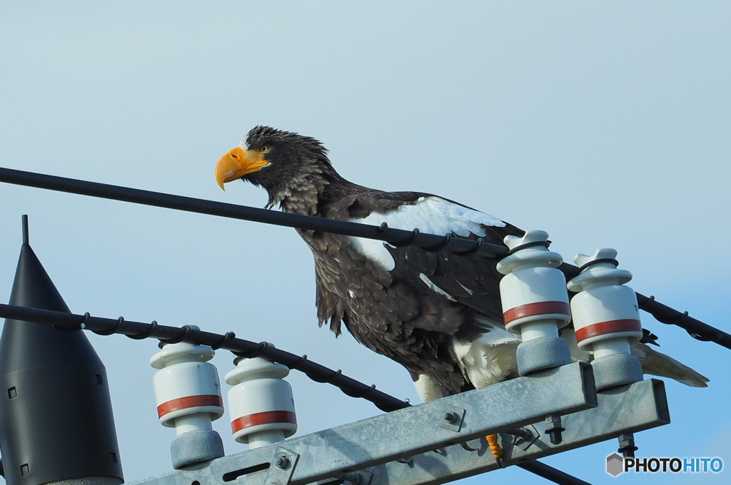 ヤバ イケメン！